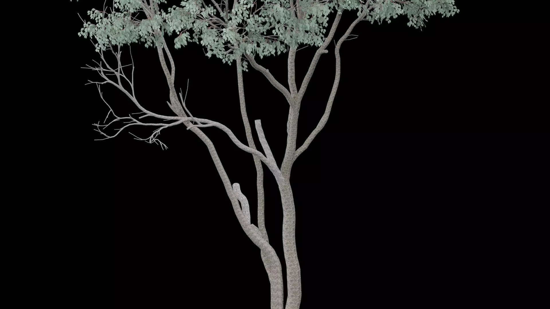 Realistic Tree Low-poly 3D model_3