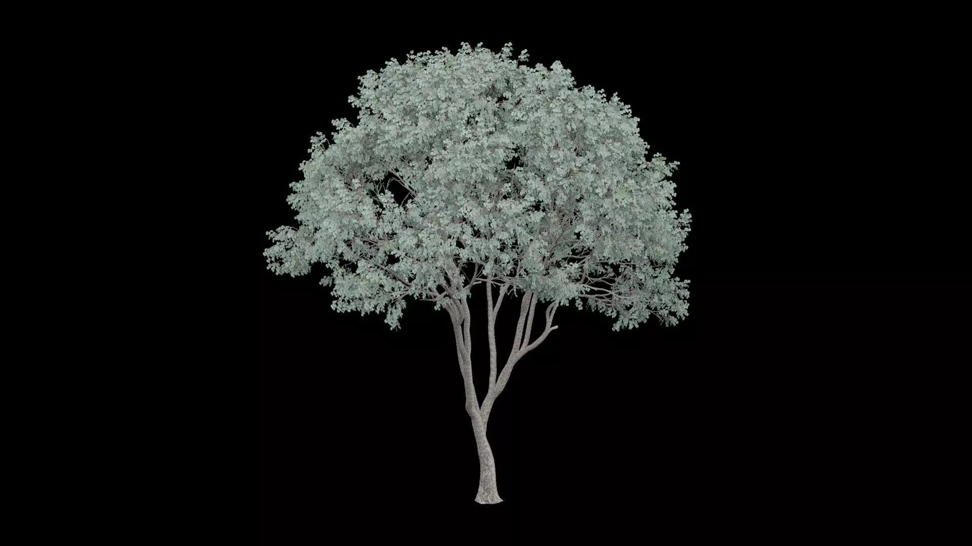 Realistic Tree Low-poly 3D model_4