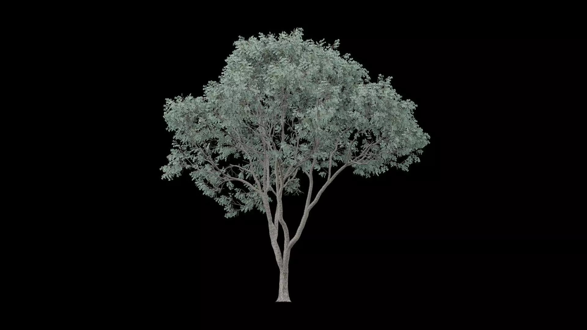 Realistic Tree Low-poly 3D model_5
