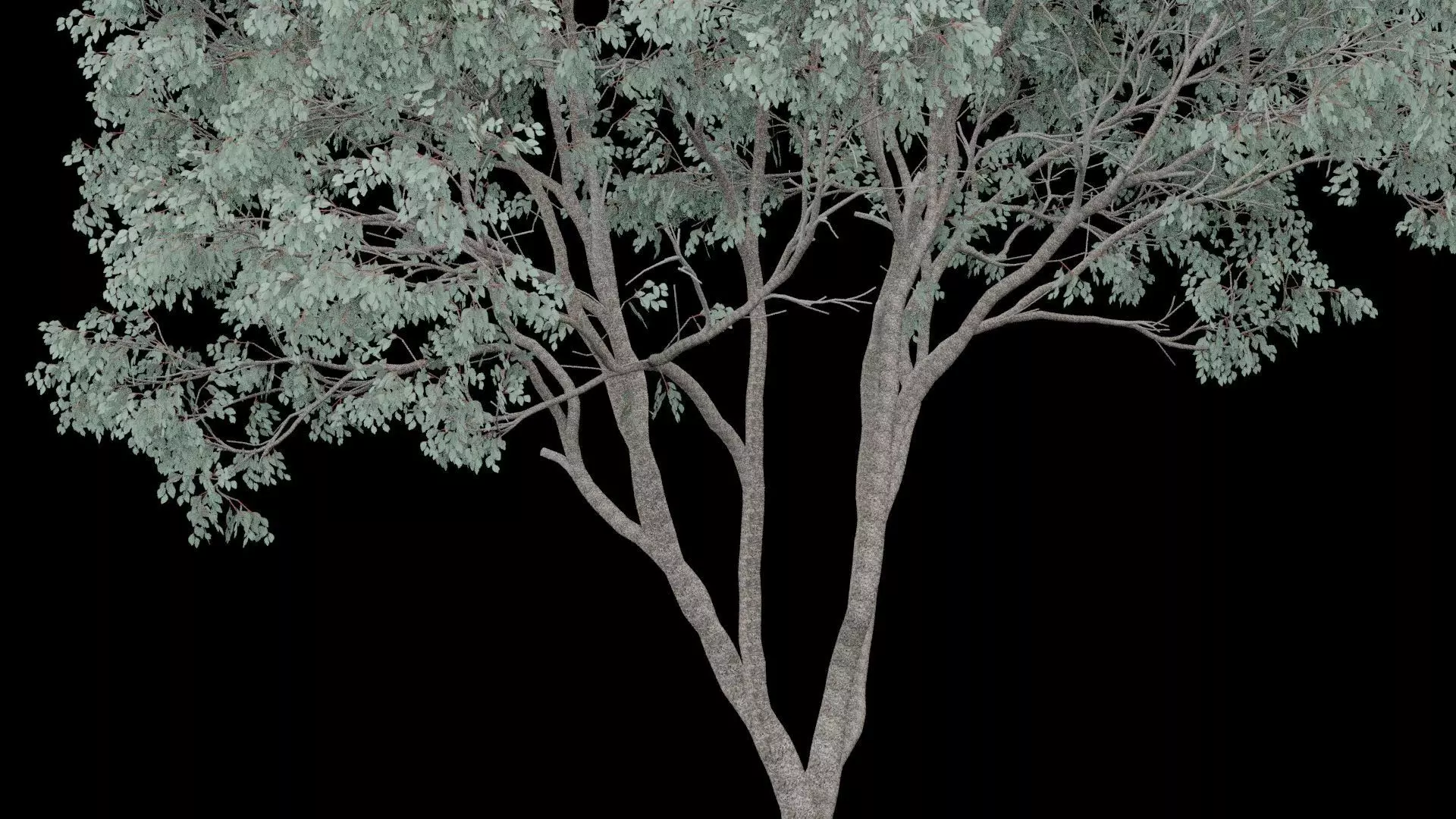 Realistic Tree Low-poly 3D model_3