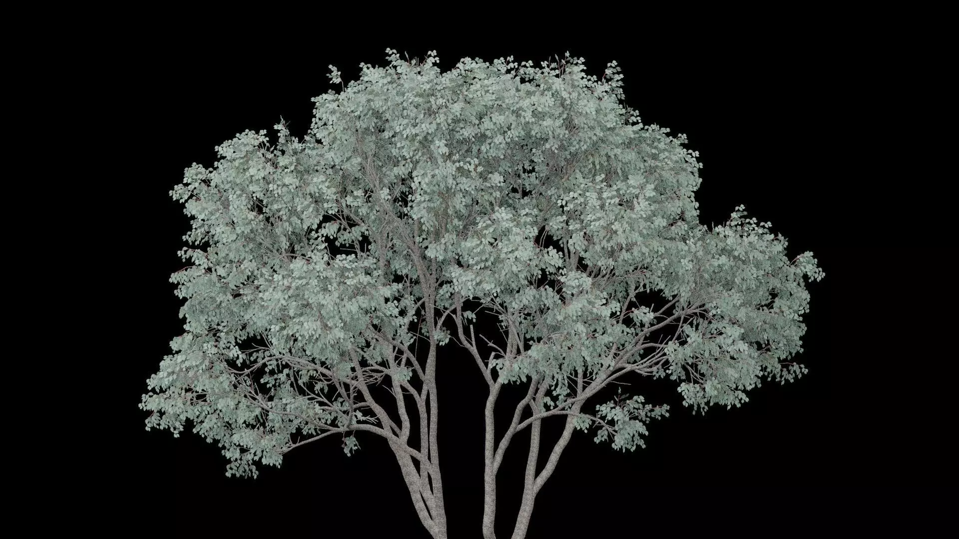 Realistic Tree Low-poly 3D model_1