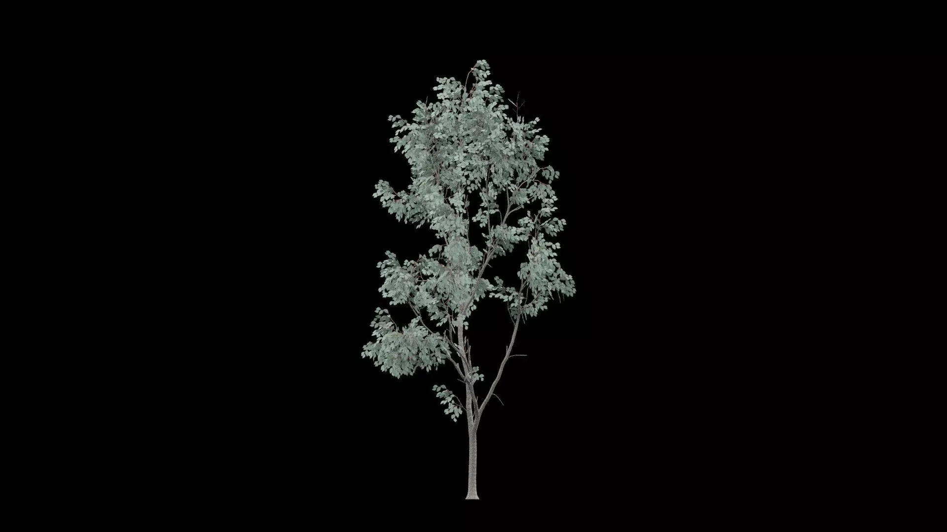 Realistic Tree Low-poly 3D model_5