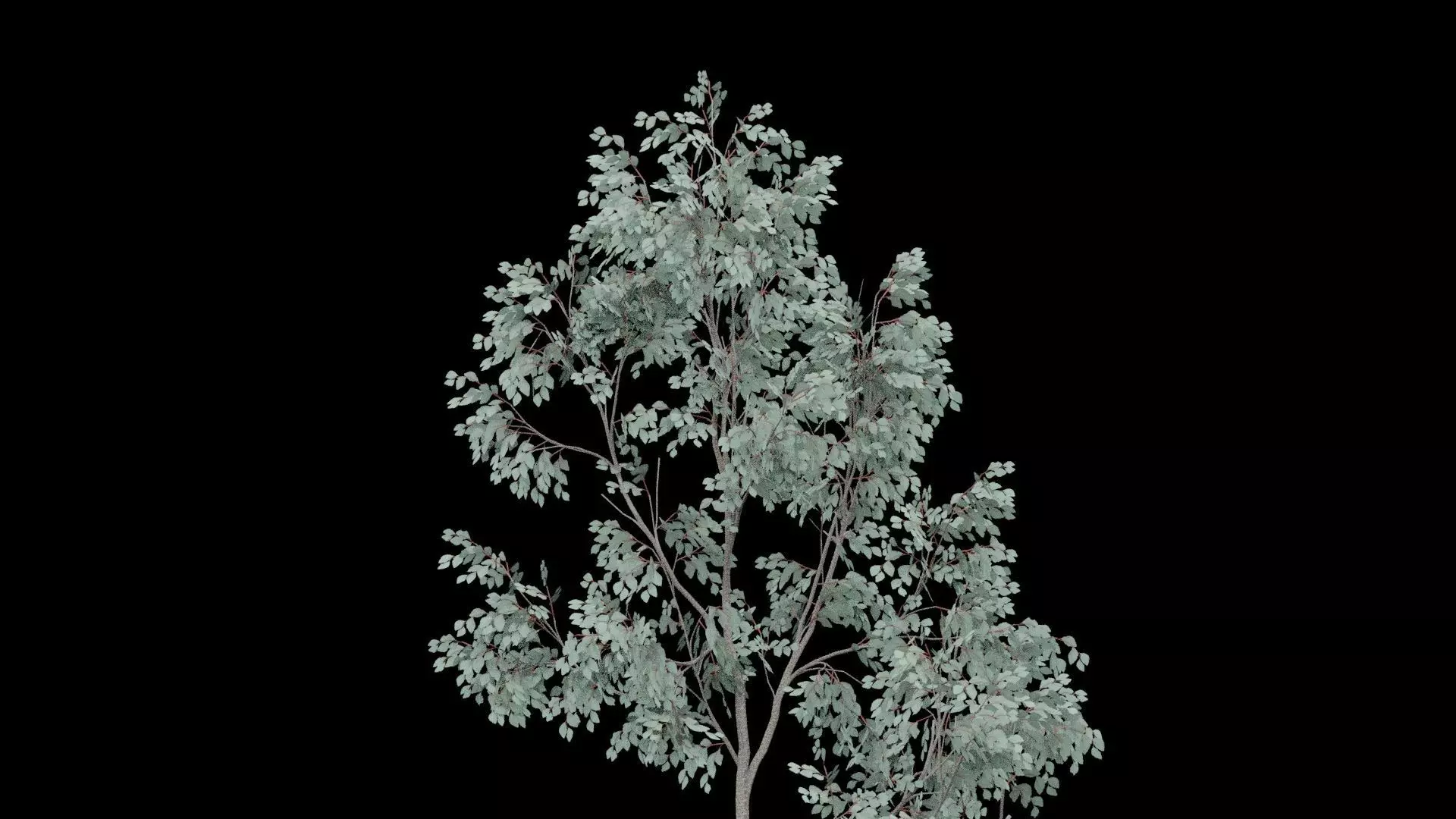 Realistic Tree Low-poly 3D model_3