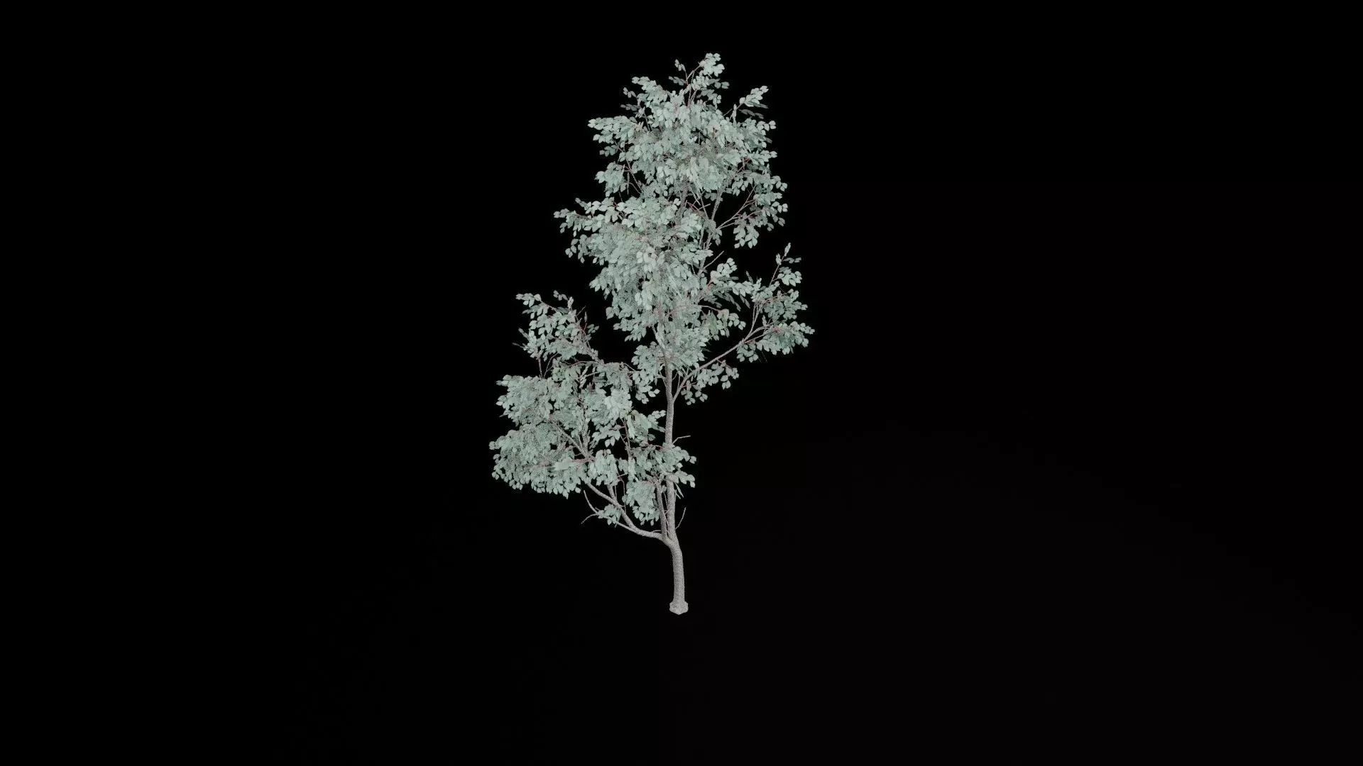 Realistic Tree Low-poly 3D model_6