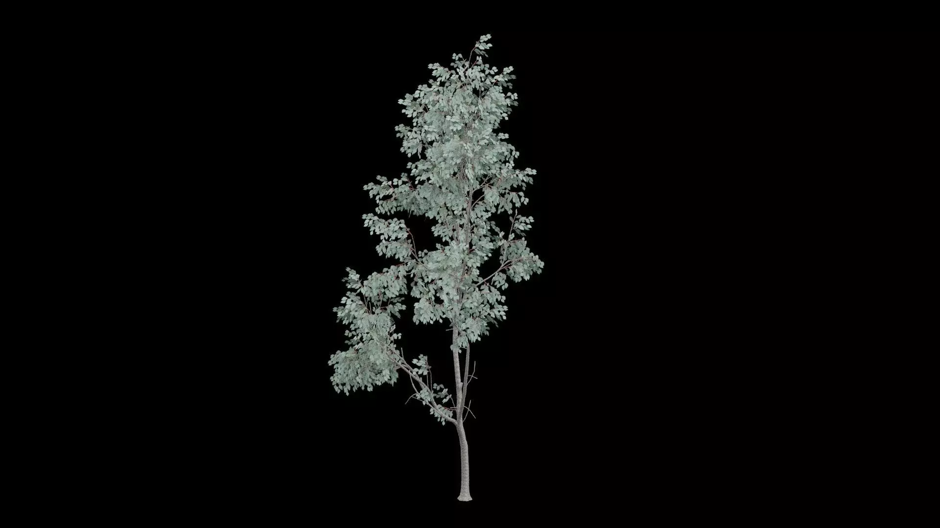 Realistic Tree Low-poly 3D model_2
