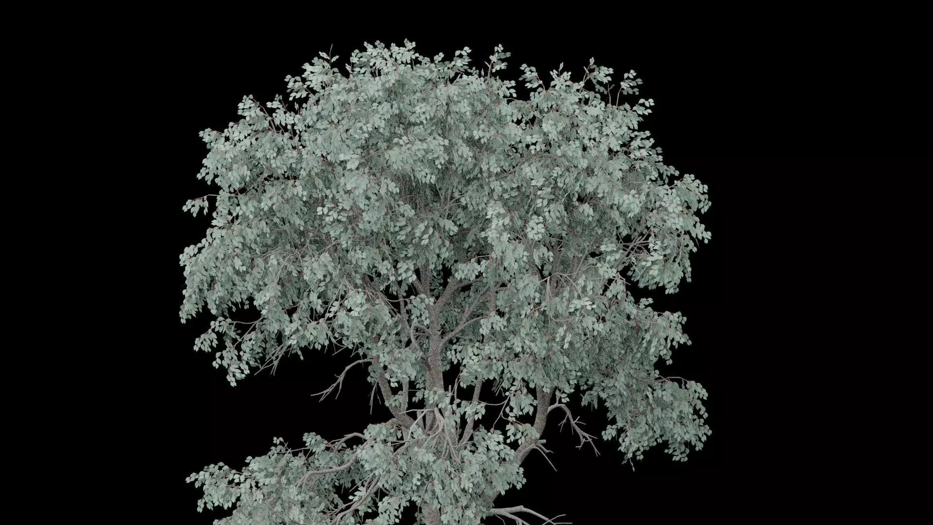 Realistic Tree Low-poly 3D model_1