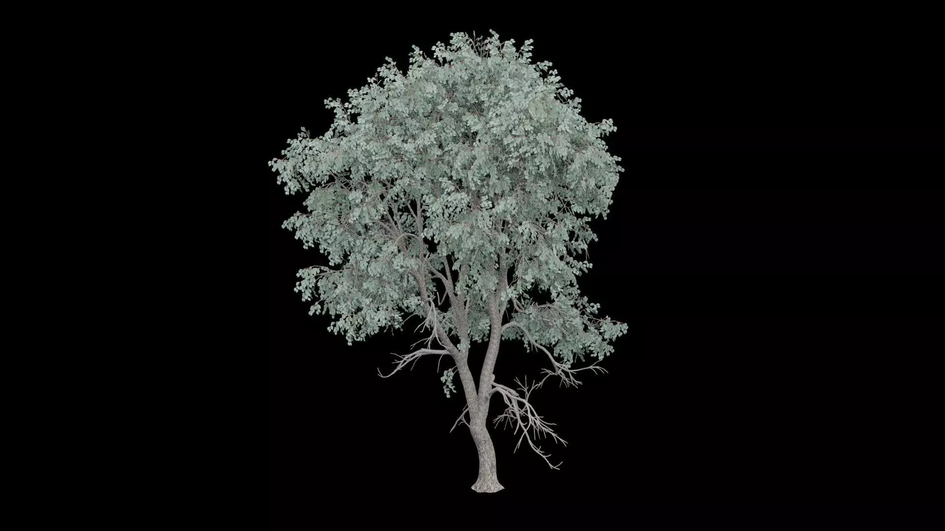 Realistic Tree Low-poly 3D model_4