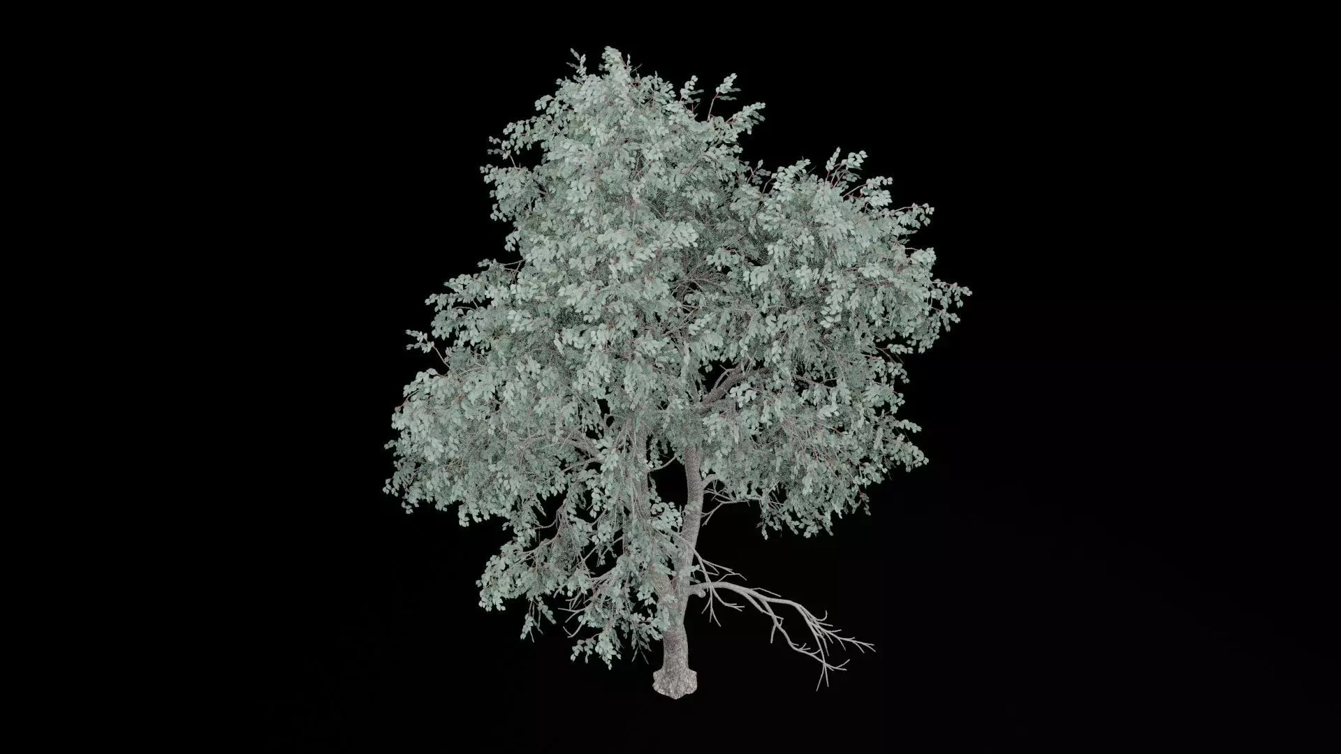 Realistic Tree Low-poly 3D model_6