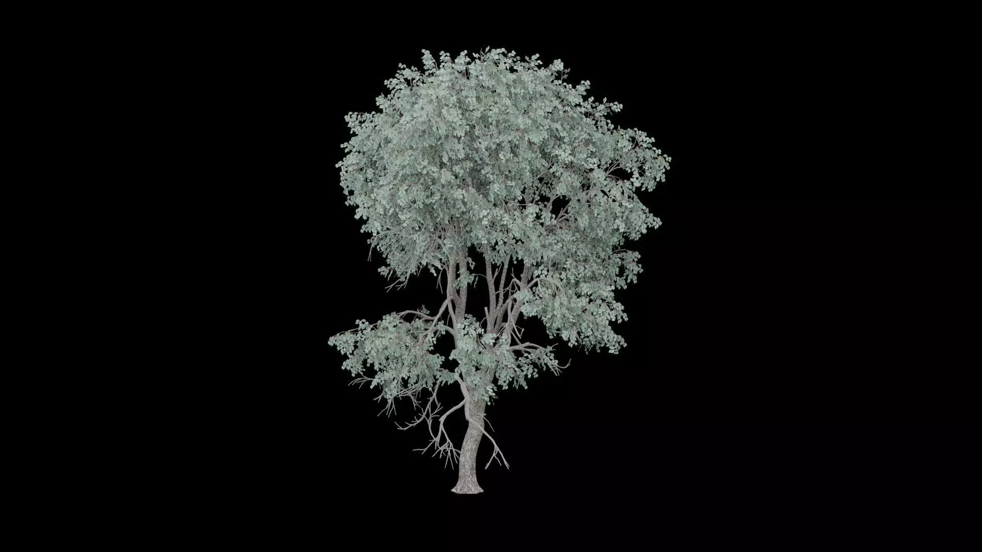 Realistic Tree Low-poly 3D model_3
