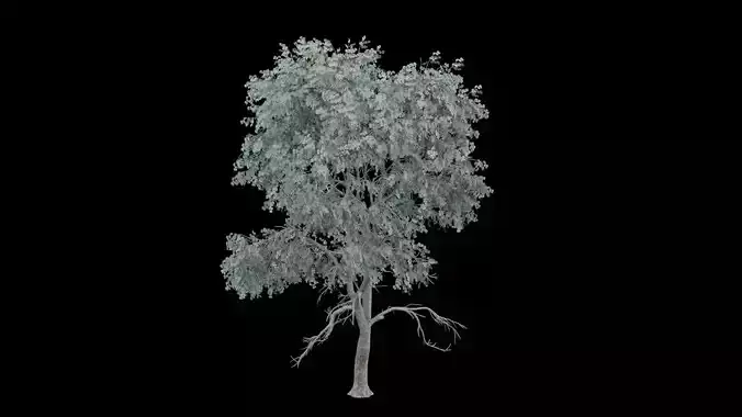Realistic Tree
