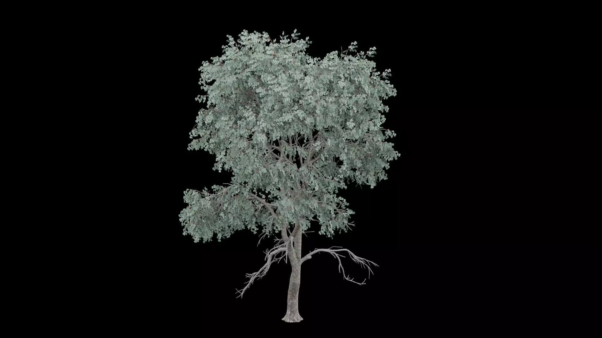 Realistic Tree Low-poly 3D model_0