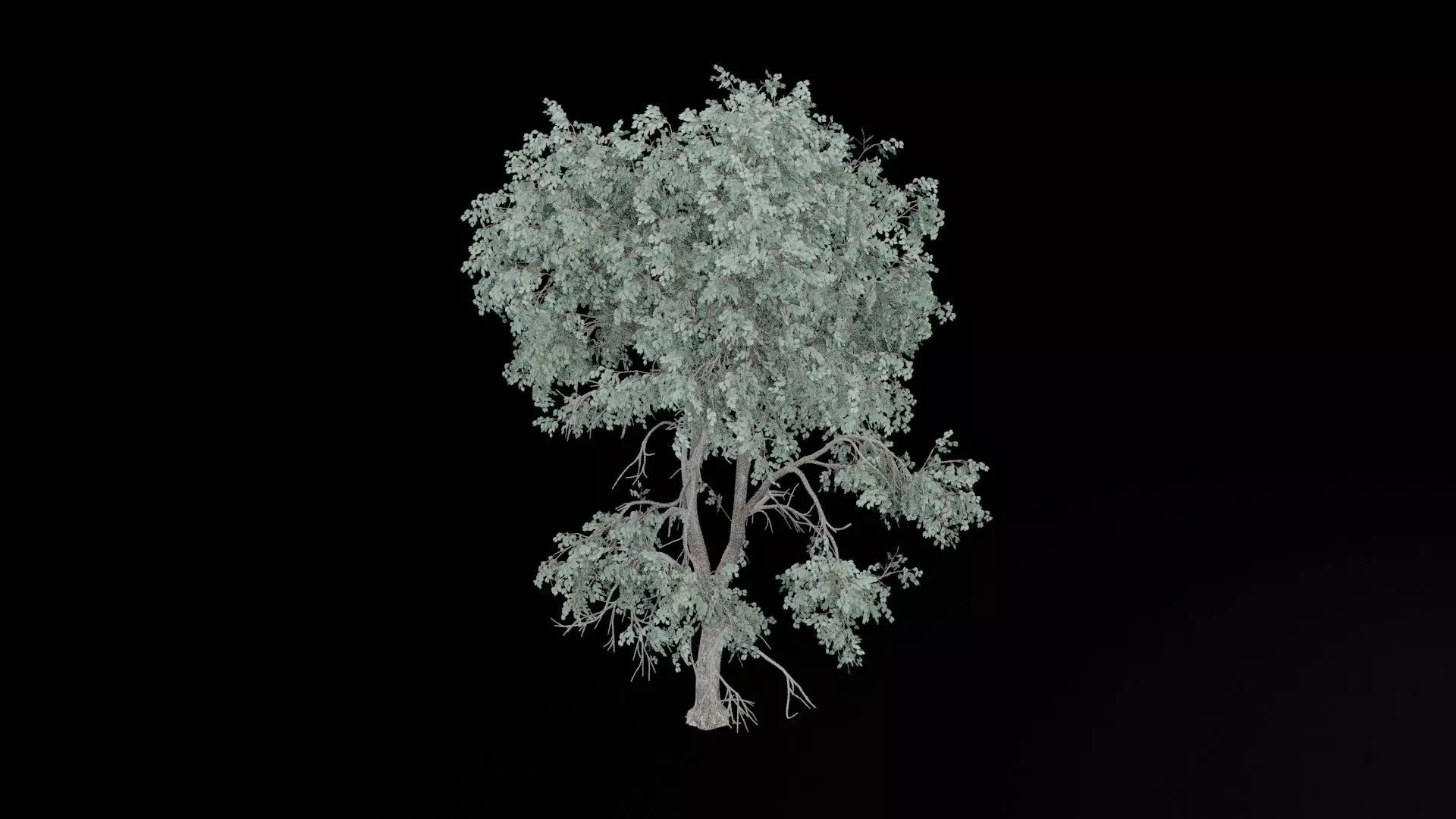 Realistic Tree Low-poly 3D model_7