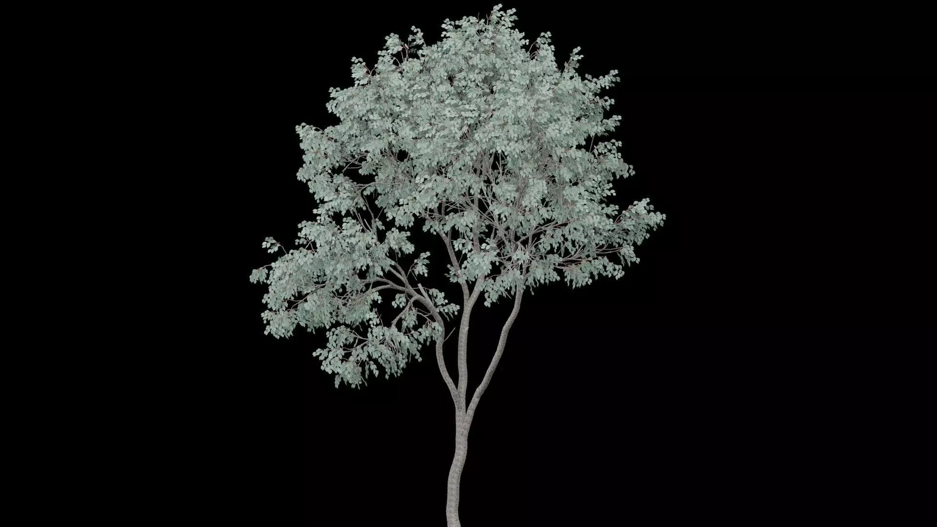 Realistic Tree Low-poly 3D model_1