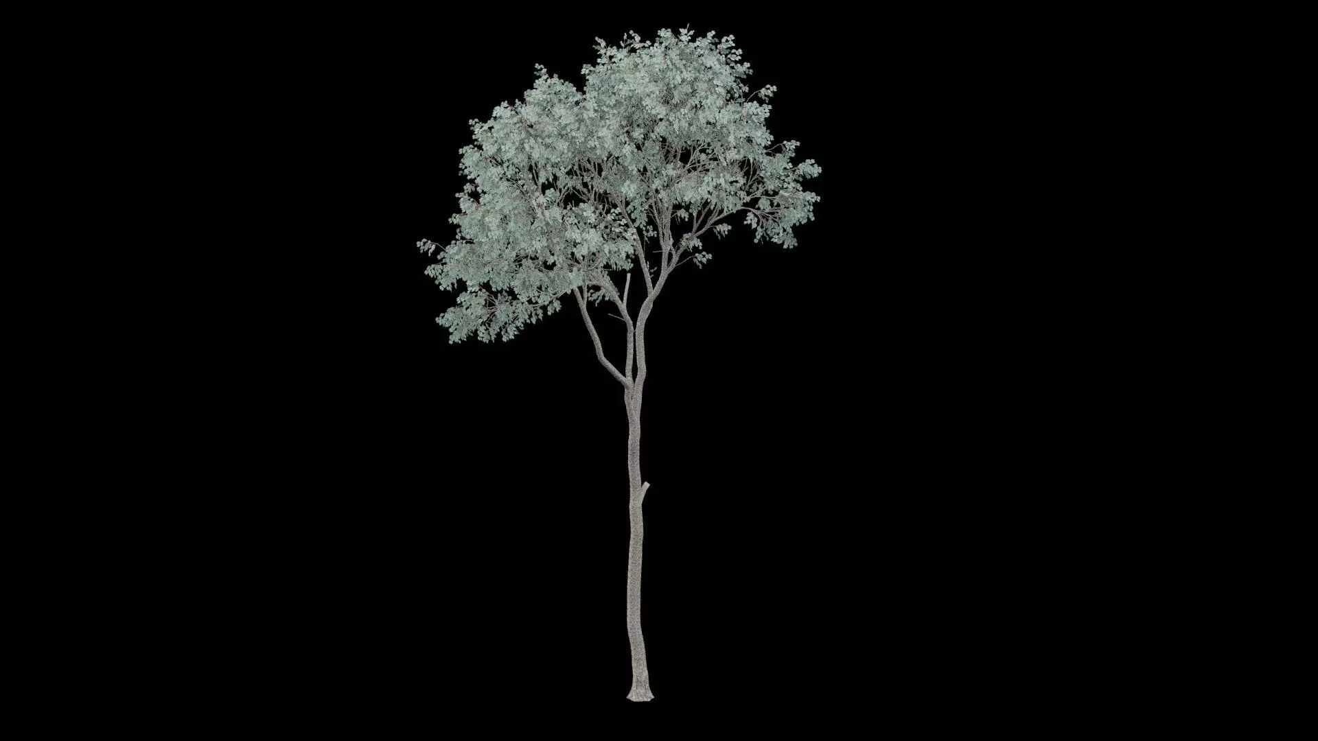 Realistic Tree Low-poly 3D model_0