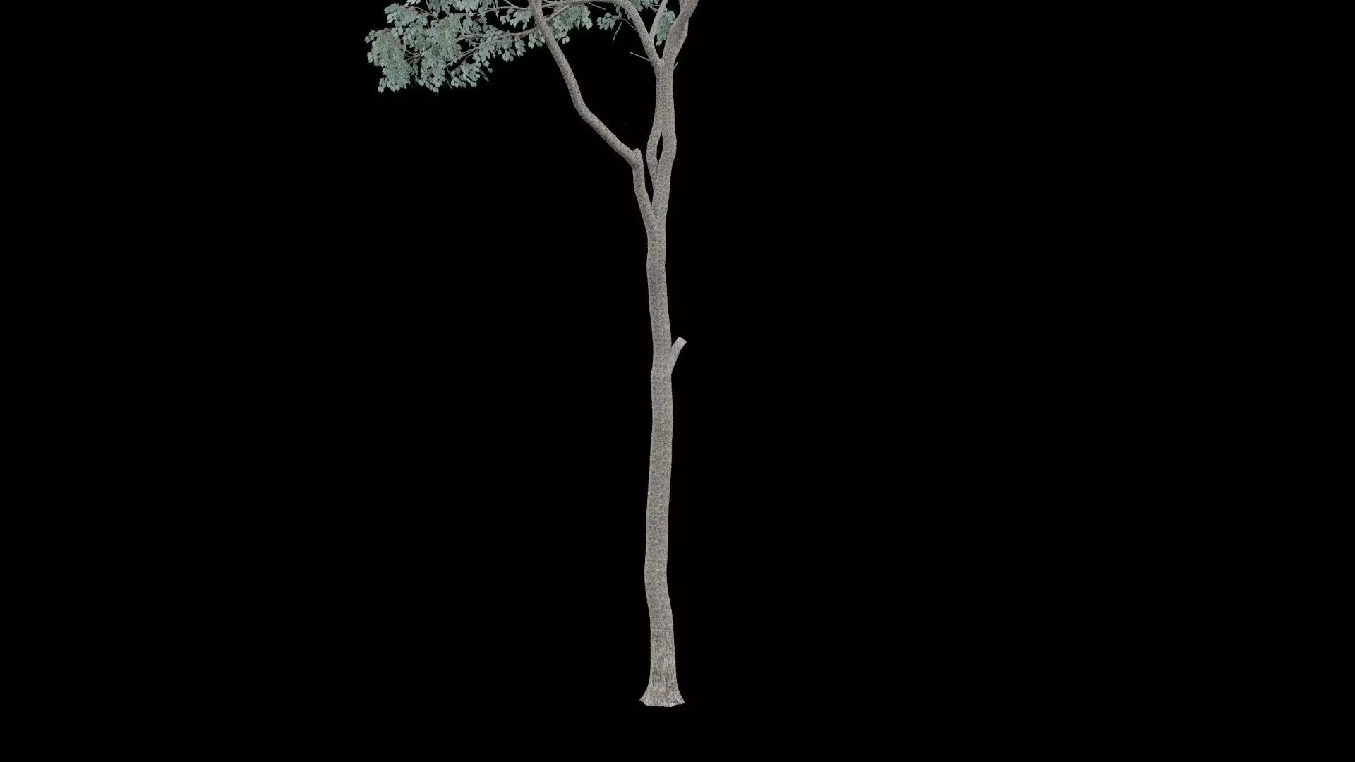 Realistic Tree Low-poly 3D model_2