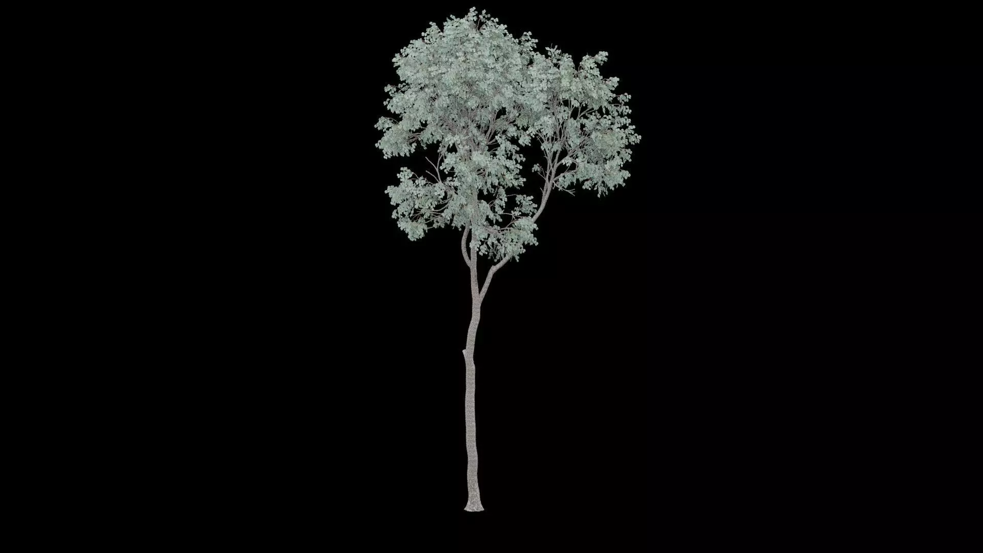 Realistic Tree Low-poly 3D model_3