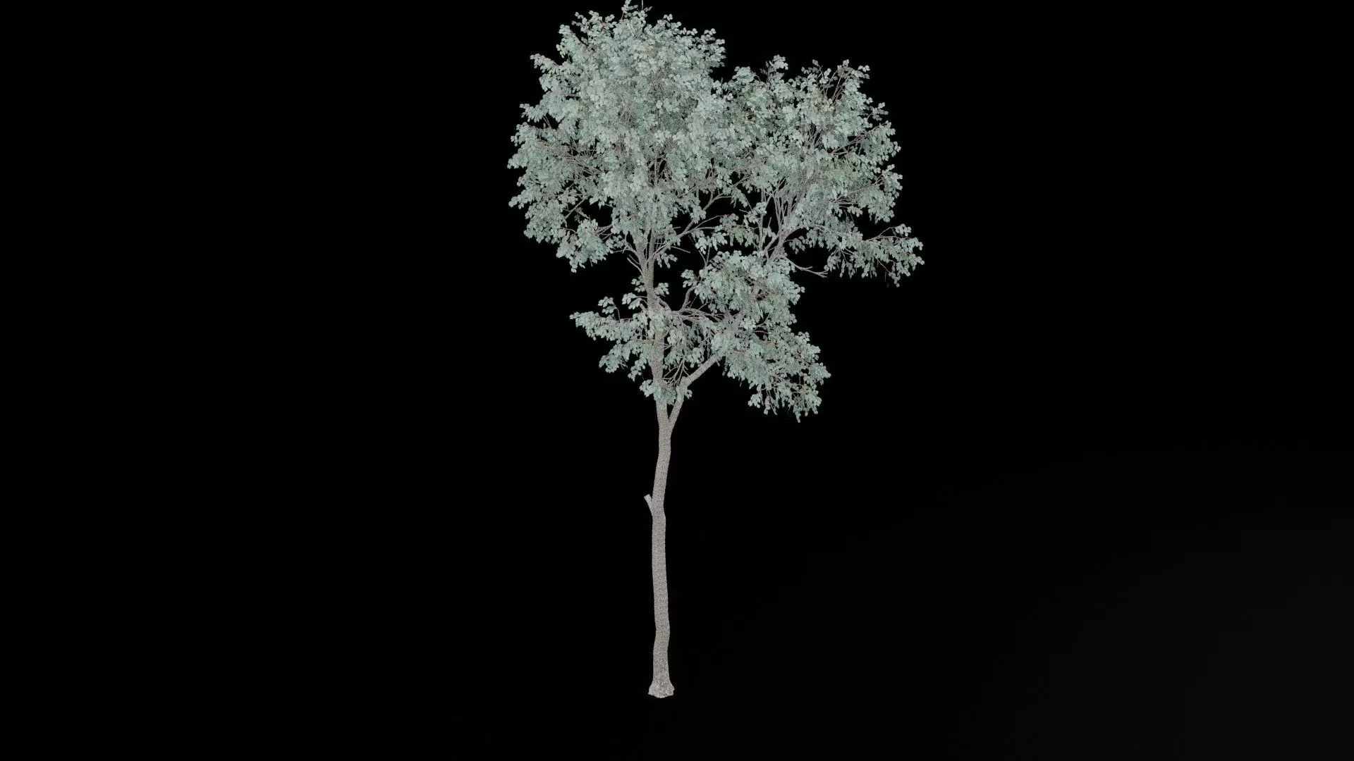 Realistic Tree Low-poly 3D model_7