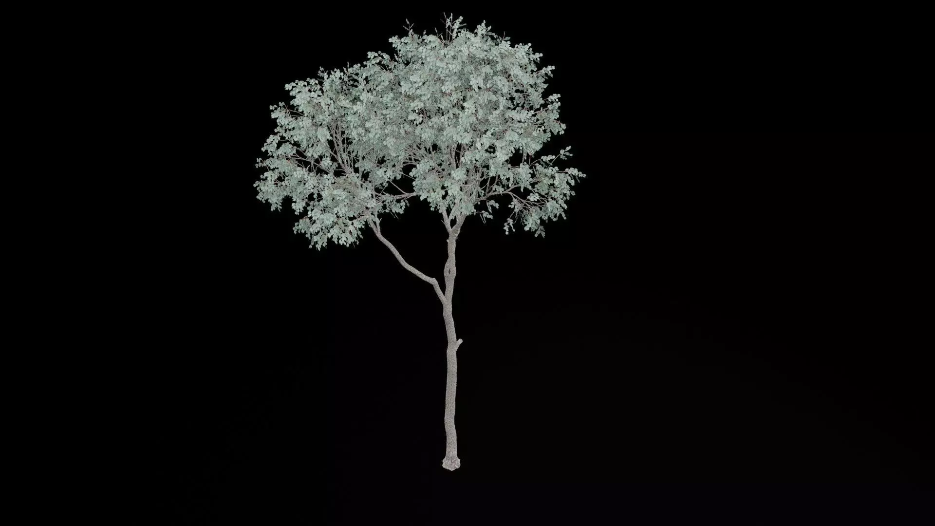 Realistic Tree Low-poly 3D model_6