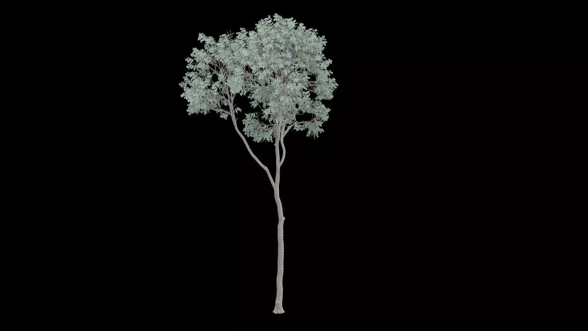Realistic Tree Low-poly 3D model_4