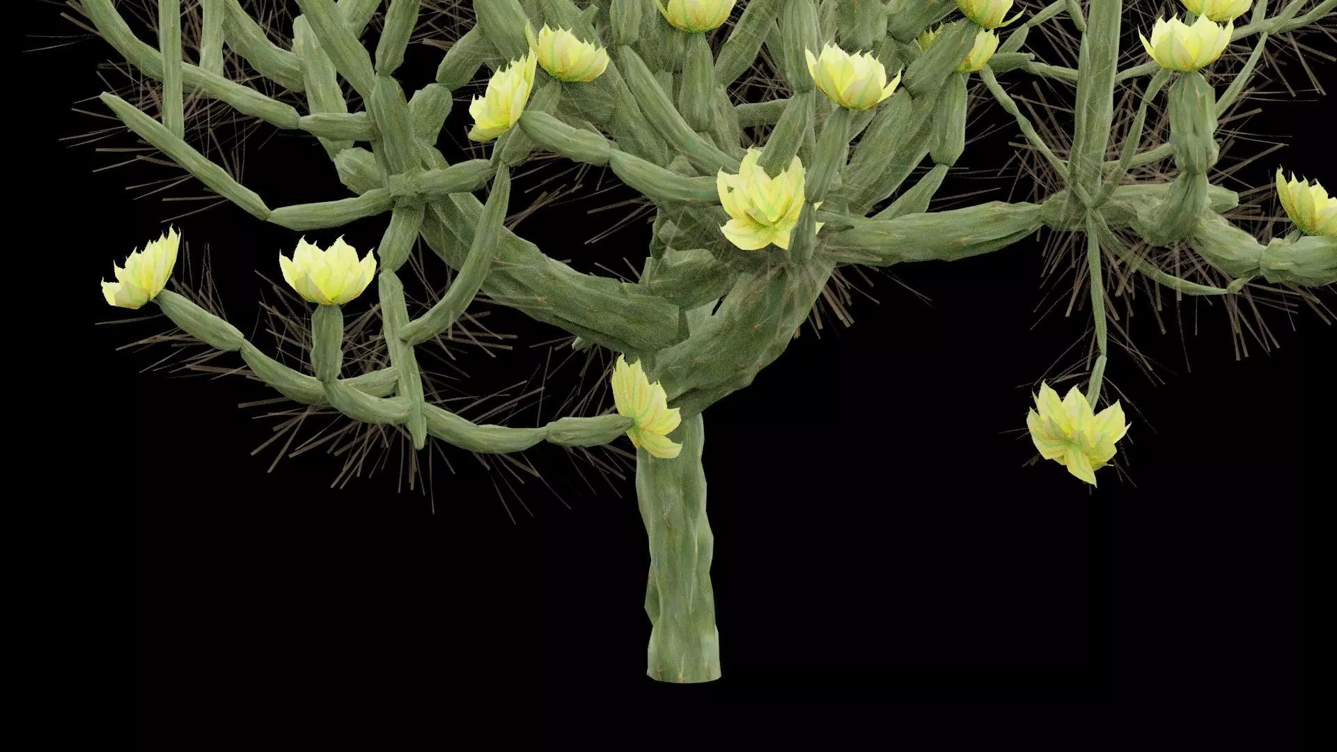 Cholla Cactus Plant Low-poly 3D model_2