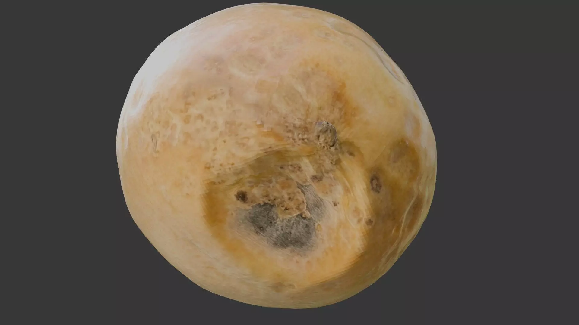 Snap Melon Scan Low-poly 3D model_4