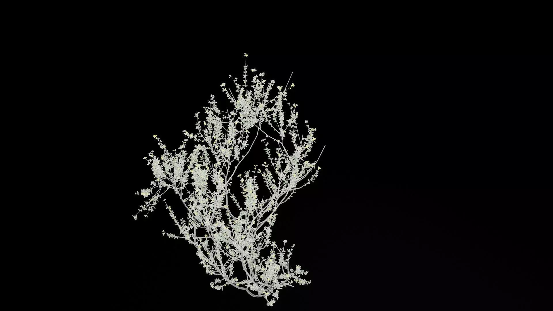 Creosote Bush Low-poly 3D model_6