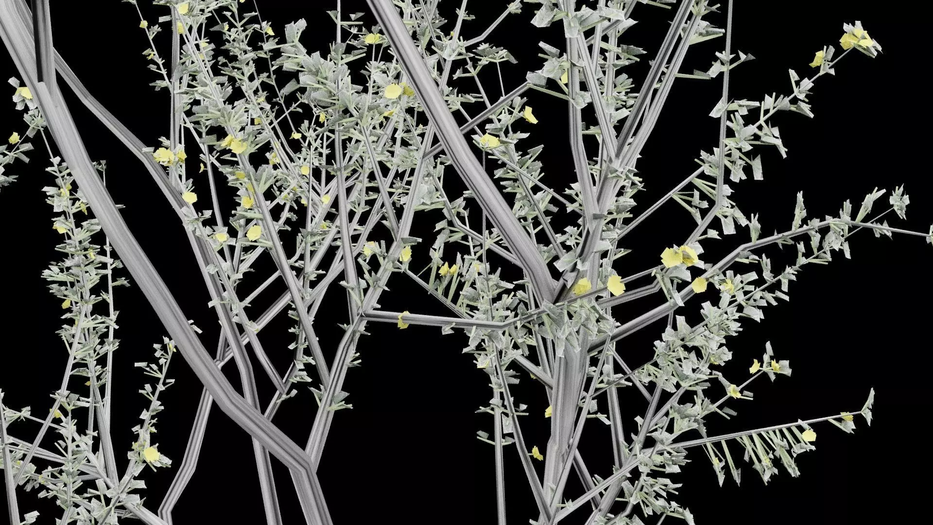 Creosote Bush Low-poly 3D model_7