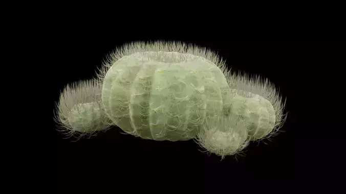 Desert Cactus Barrel