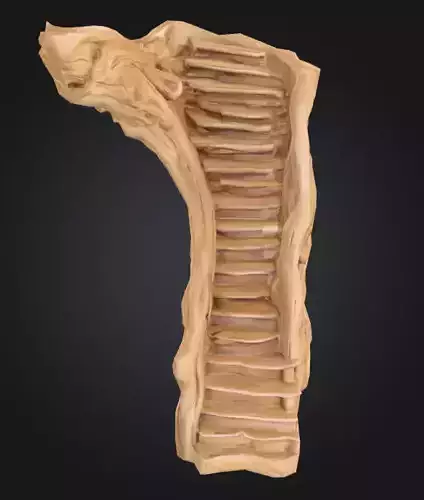 carved driftwood staircase 3D print model