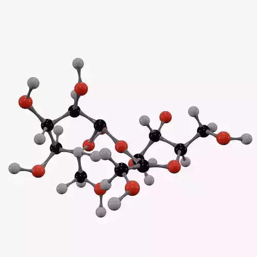 Sucrose Molecule