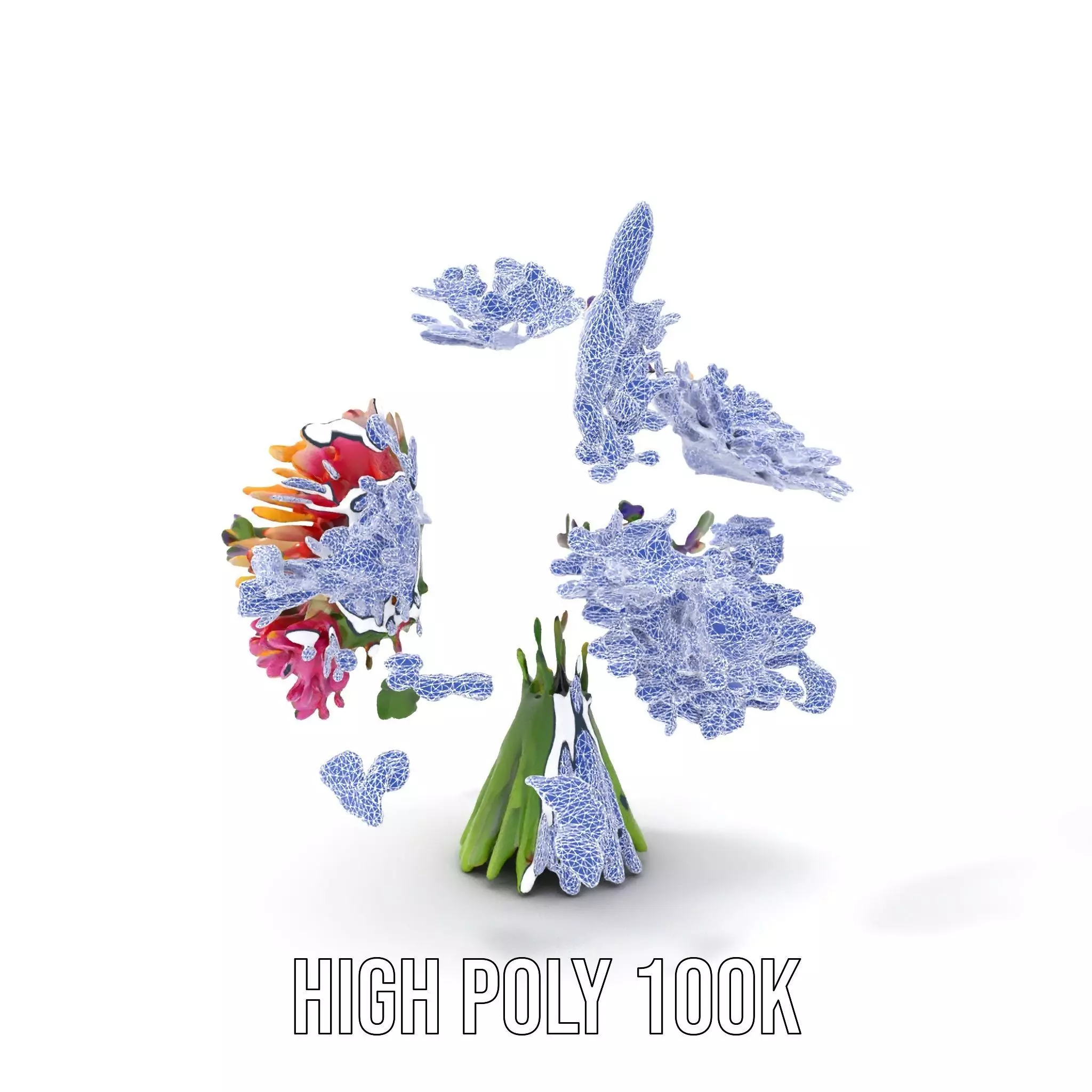 Vibrant Flower Bouquet model pack Low-poly 3D model_5