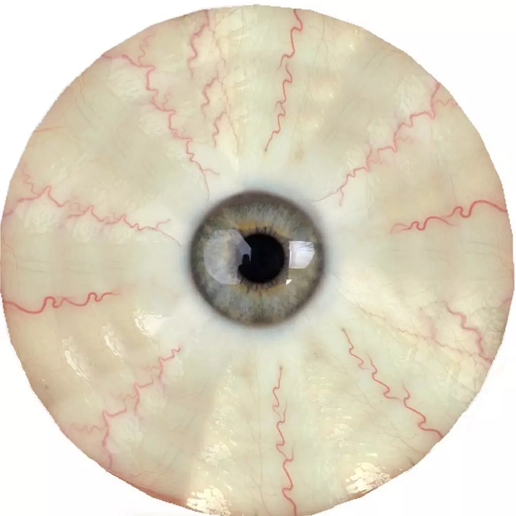 boys overall 3d clothing rigged model Low-poly 3D model_31