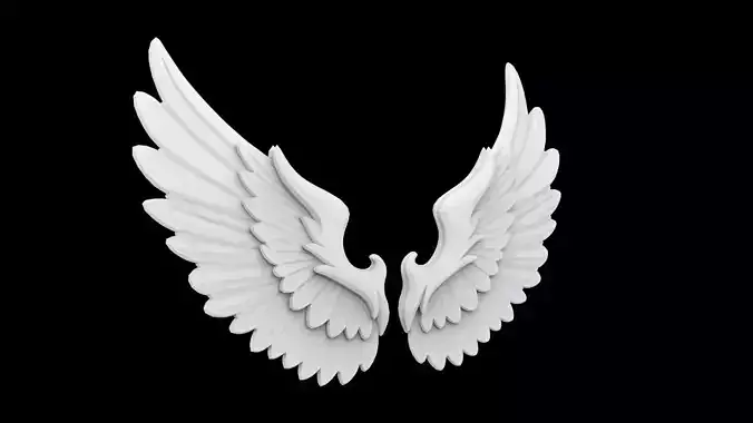 Eagle Wing 3D Print Model 3D print model