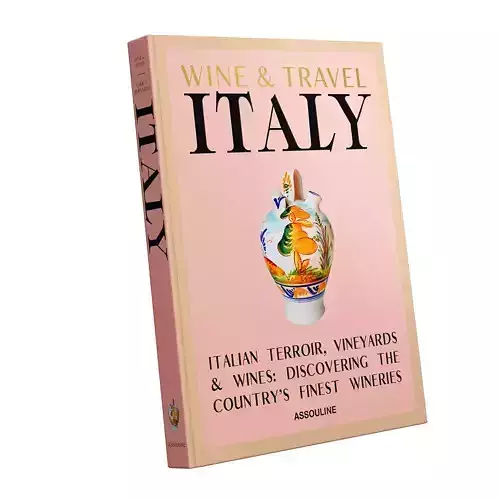 Wine and Travel Italy Book by Assouline