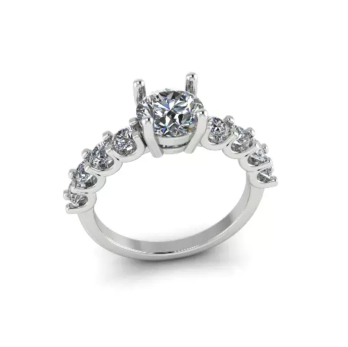 Ring Model 7851 3D print model_1