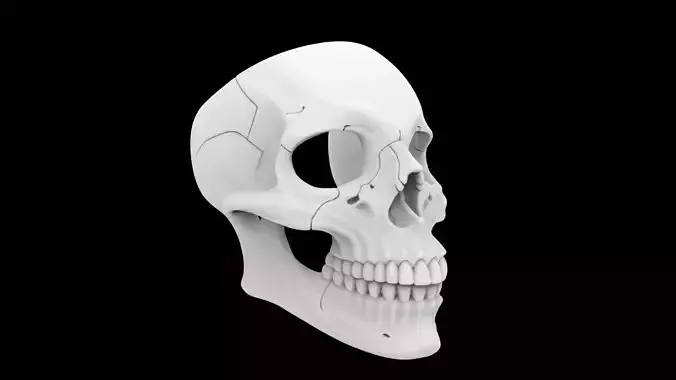 Human Skull Mask 3D Print Model