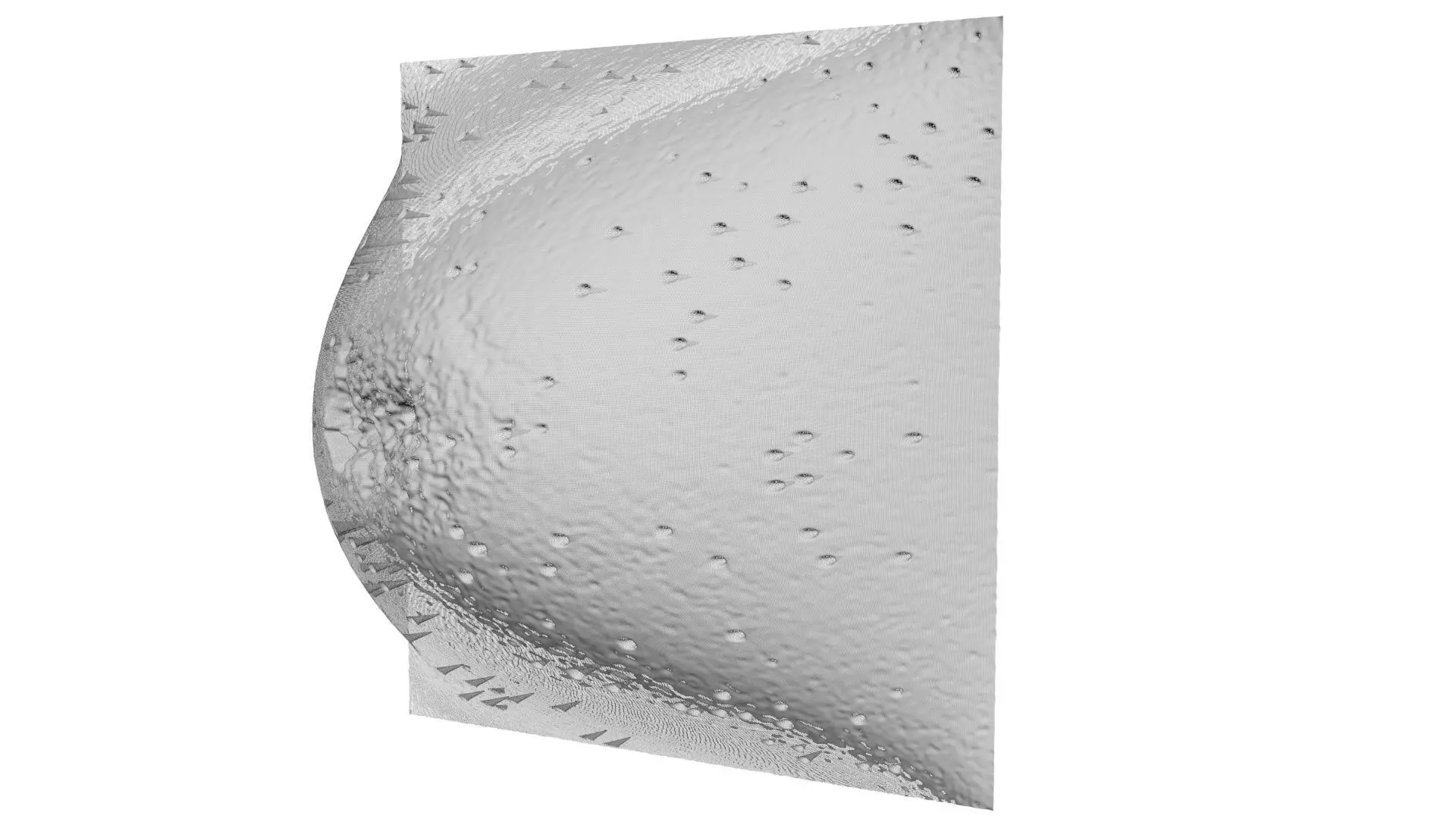 Raspberry Nebula 3D model_10