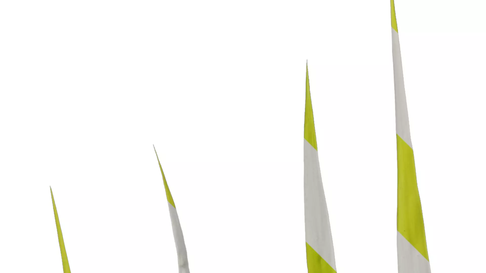 Anydrafts Bambusa multiplex Leaf 03 Texture_2