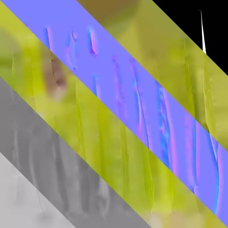 Anydrafts Bambusa multiplex Leaf 03 Texture_8