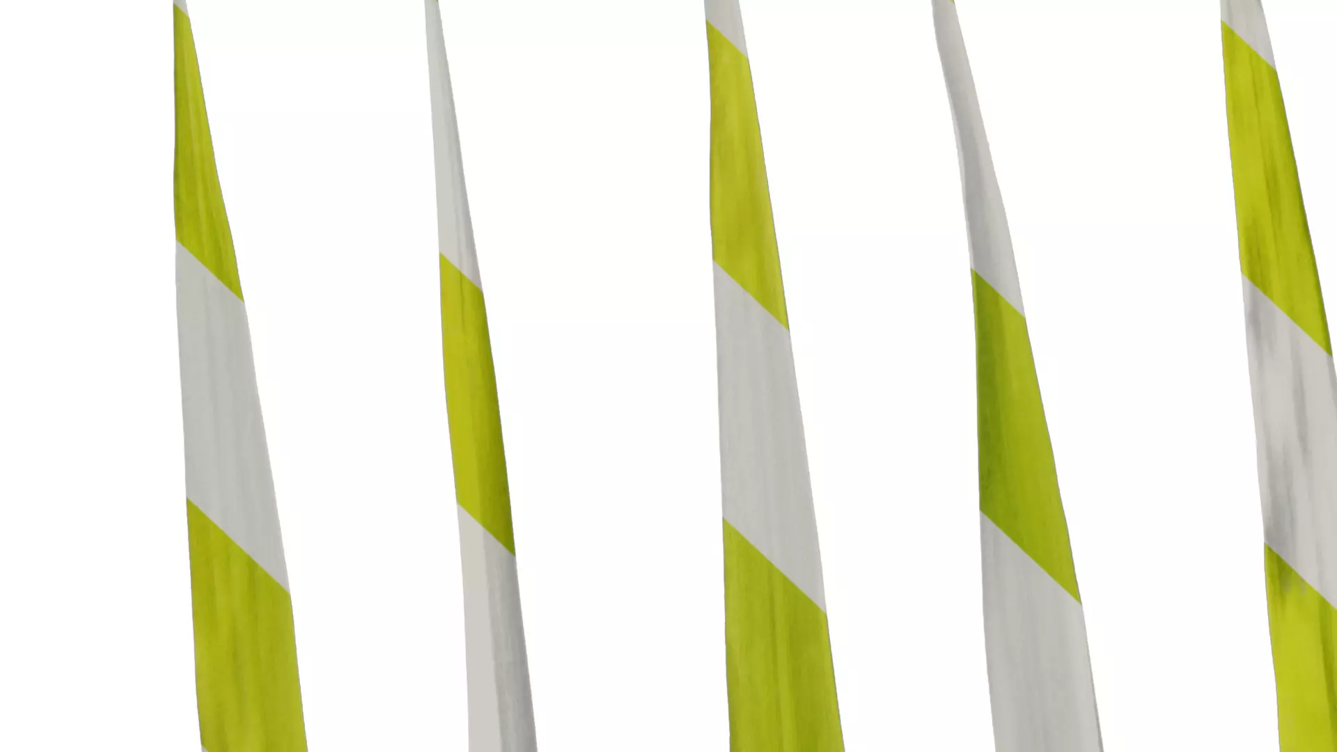 Anydrafts Bambusa multiplex Leaf 03 Texture_7