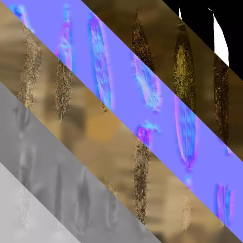 Anydrafts Bambusa multiplex Leaf 06 Texture_8