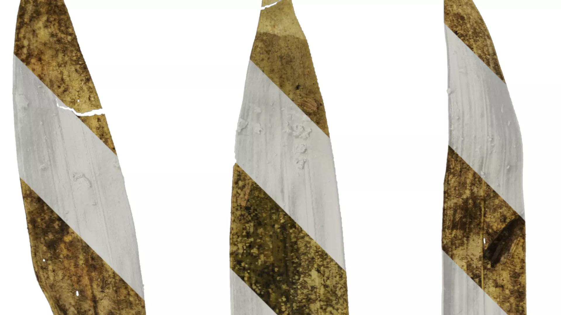 Anydrafts Bambusa multiplex Leaf 06 Texture_2