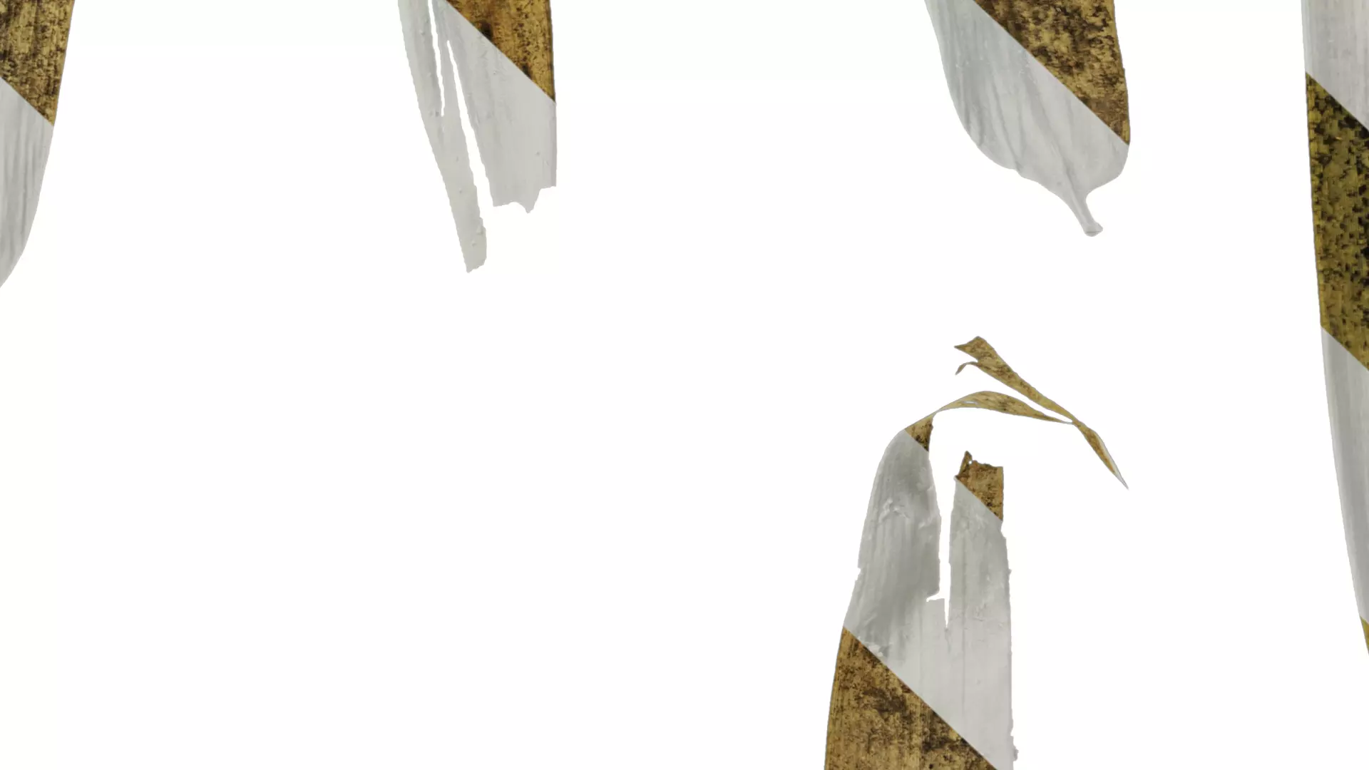 Anydrafts Bambusa multiplex Leaf 06 Texture_7