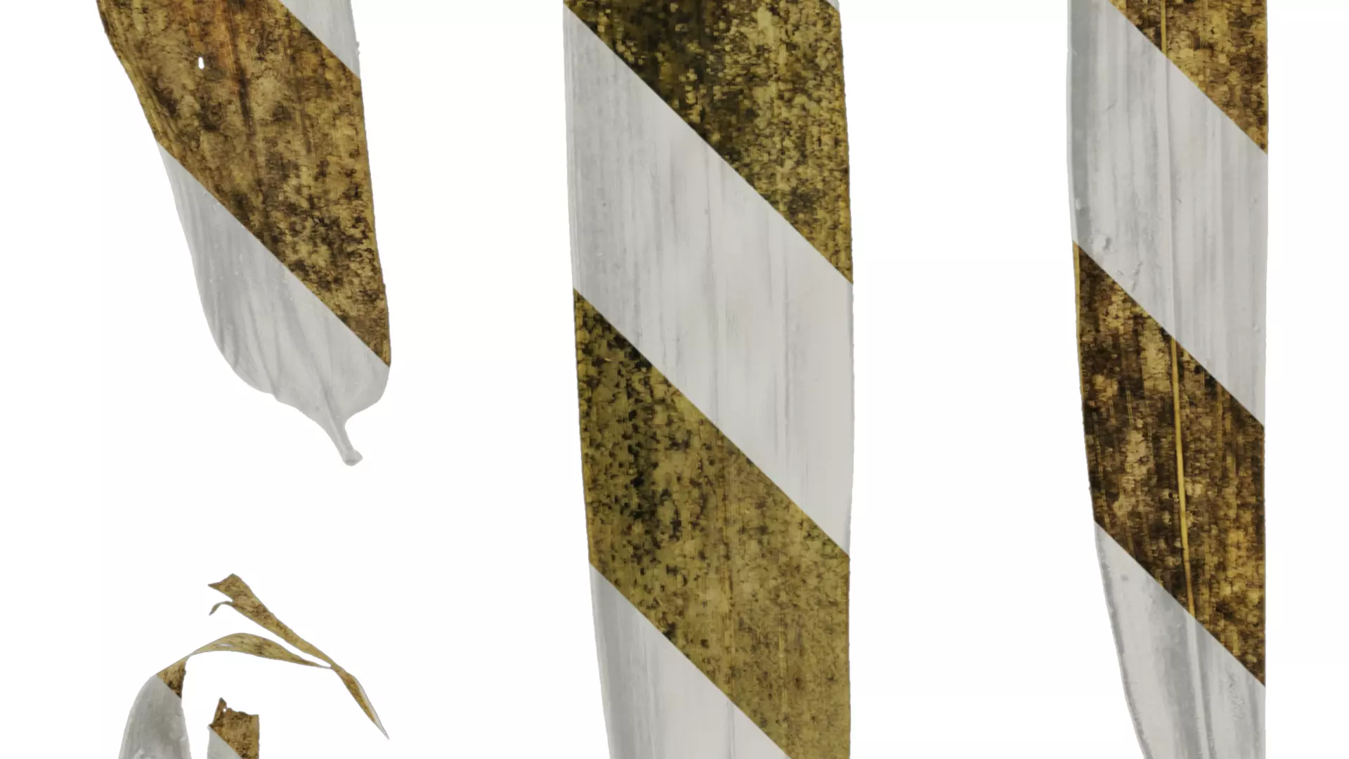 Anydrafts Bambusa multiplex Leaf 06 Texture_4