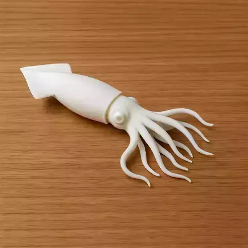 Squid Swim 3D print model