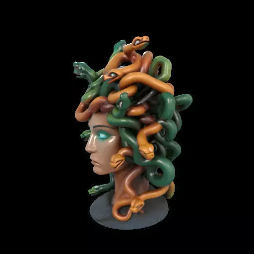 1984  Medusa Gorgon Head 3D Model  magic 3D print model_19