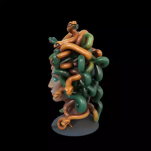 1984  Medusa Gorgon Head 3D Model  magic 3D print model_17