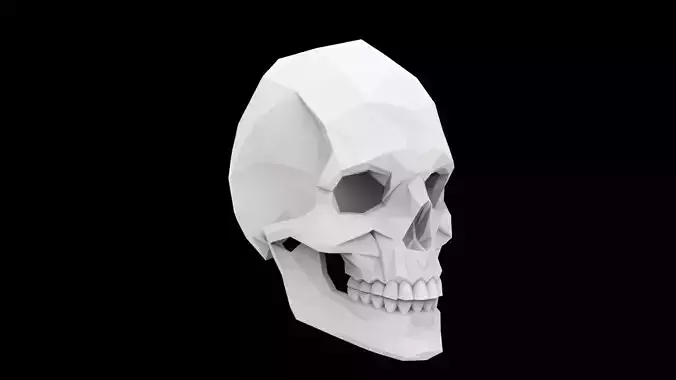 Skull Mask 3D Print Model