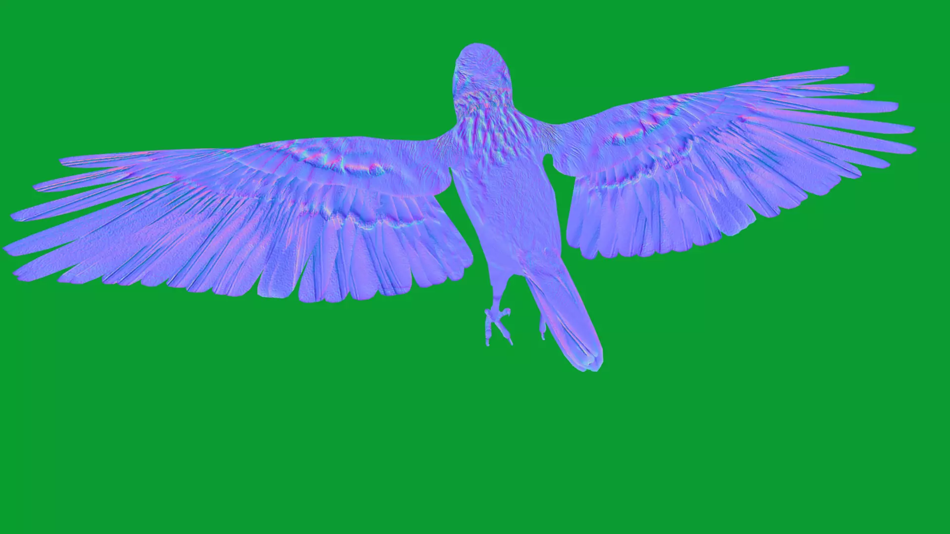 Asian Golden Weaver Bird Low-poly 3D model_56