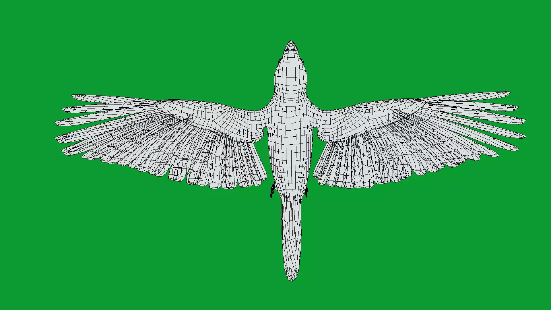 Asian Golden Weaver Bird Low-poly 3D model_36